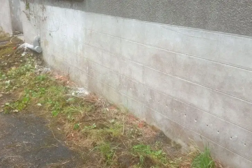 Janvier 2025 : traitement des remontées capillaires