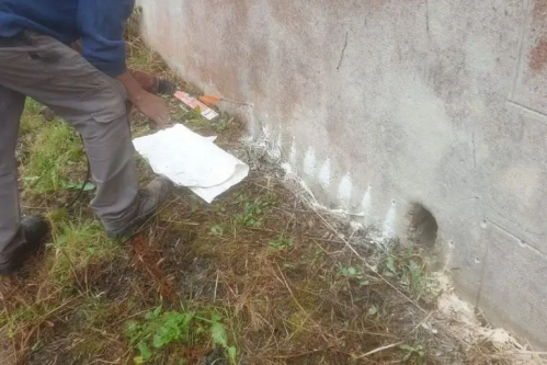 Janvier 2025 : traitement des remontées capillaires